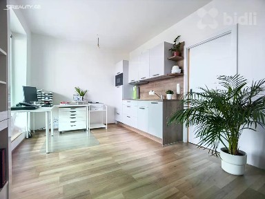 Prodej bytu atypický 98 m² Dvořákova, Olomouc - Nová Ulice