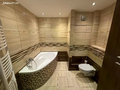 Pronájem bytu 3+1 69 m² Karla Marxe, Most