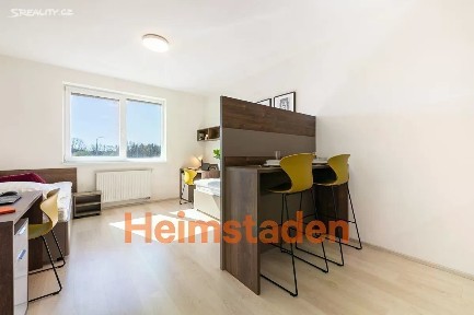 Pronájem bytu 1+kk 27 m² Magisterská, Plzeň - Jižní Předměstí