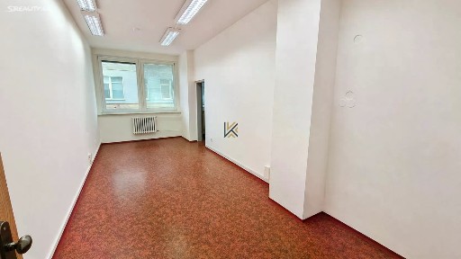 Pronájem obchodního prostoru 450 m²