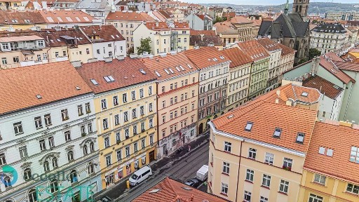 Prodej bytu 1+kk 32 m² Seifertova, Praha - Žižkov