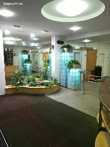 Pronájem kanceláře 24 m² Botanická, Brno - Veveří