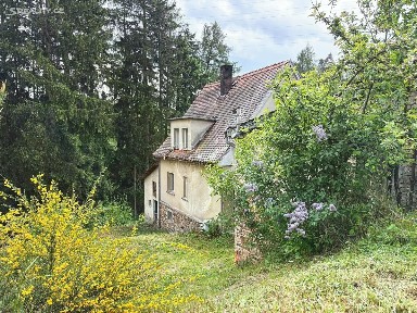 Prodej rodinného domu 200 m², pozemek 5219 m² Úžice - Radvanice