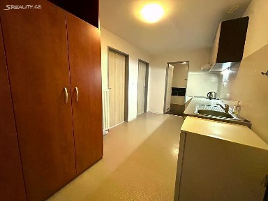 Pronájem bytu 2+1 46 m² Jiráskovo nábř., České Budějovice - České Budějovice 3