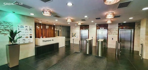 Pronájem kanceláře 252 m² Thámova, Praha - Karlín