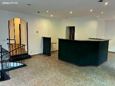 Pronájem obchodního prostoru 141 m² U Jezerky, Praha - Nusle