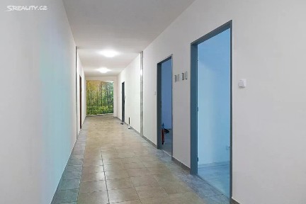 Pronájem kanceláře 34 m² Riegrova, Teplice - Trnovany