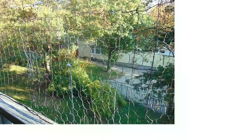 Prodej bytu 3+1 64 m² Rumburská, Praha - Střížkov