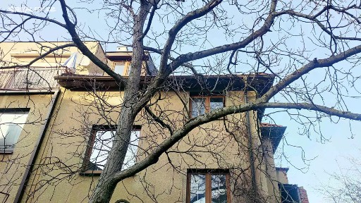 Praha, Praha 4, Zárybničná