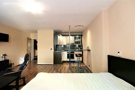 Pronájem bytu 1+kk 36 m² Hybešova, Praha - Karlín