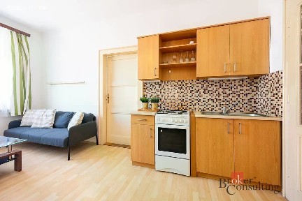 Prodej bytu 2+kk 47 m² Hartigova, Praha - Žižkov