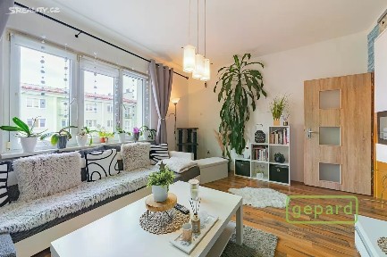 Prodej bytu 2+1 54 m² S. K. Neumanna, Ostrov