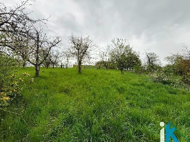 Prodej rodinného domu 98 m², pozemek 1829 m² Hruška