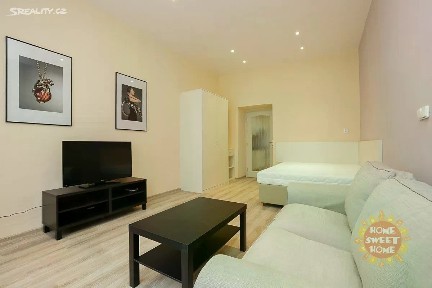 Pronájem bytu 1+1 40 m² Máchova, Praha - Vinohrady