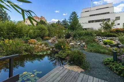 Prodej bytu 2+kk 71 m² Lipová, Brno - Pisárky