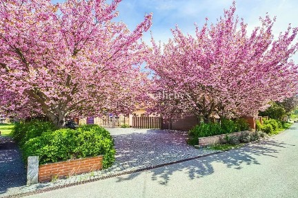 Prodej rodinného domu 331 m², pozemek 2779 m² Karlík