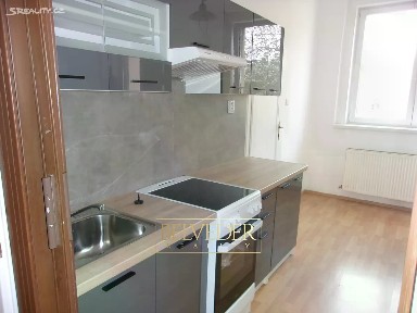 Pronájem bytu 2+1 70 m² Americká, Teplice