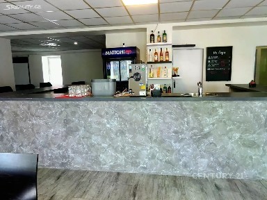 Pronájem komerční nemovitosti 253 m²
