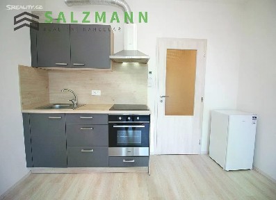 Pronájem bytu 1+kk 29 m² Nemocniční, Plzeň - Jižní Předměstí