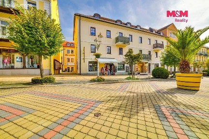 Pronájem bytu 1+kk 30 m²