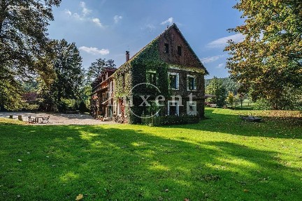 Prodej rodinného domu 1700 m², pozemek 110000 m² Stříbrná Skalice