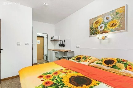Prodej bytu 1+kk 17 m²