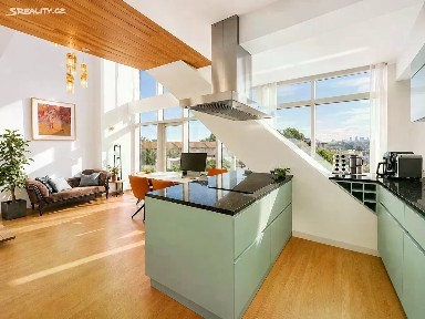 Pronájem apartmánů 172 m² Kobrova, Praha - Smíchov