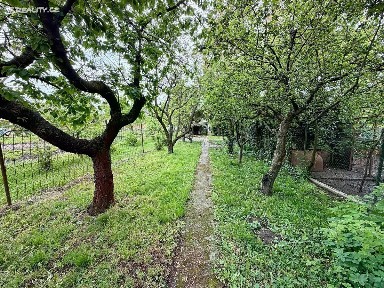 Prodej rodinného domu 230 m², pozemek 883 m² Olšany u Prostějova