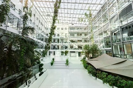 Pronájem kanceláře 246 m²