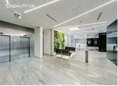 Pronájem kanceláře 450 m² Olbrachtova, Praha - Krč