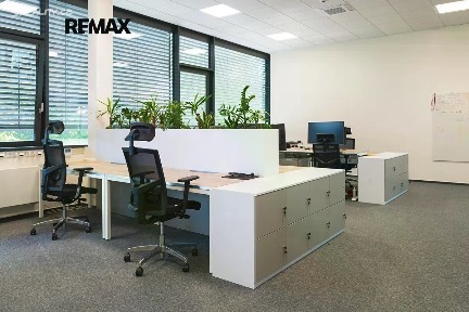 Pronájem kanceláře 446 m²