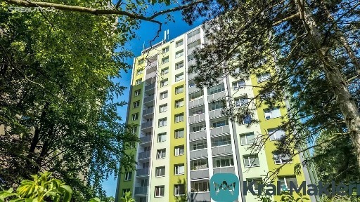 Prodej bytu 1+1 42 m²