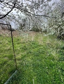 Prodej rodinného domu 90 m², pozemek 1480 m² Luže - Dobrkov