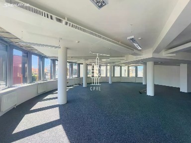 Pronájem kanceláře 536 m² Lomnického, Praha - Nusle