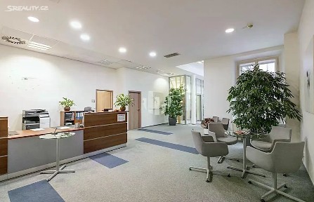 Pronájem kanceláře 300 m² Olivova, Praha - Nové Město