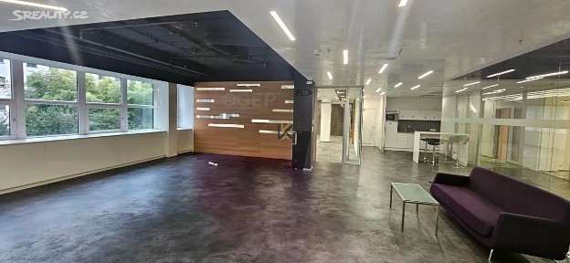 Pronájem ordinace 1323 m² Radlická, Praha - Smíchov