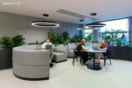 Pronájem kanceláře 18 m² Vinohradská, Praha - Žižkov