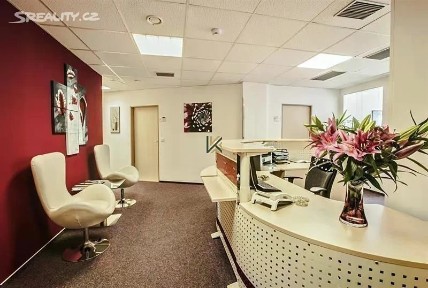Pronájem kanceláře 31 m² Václavské náměstí, Praha - Nové Město