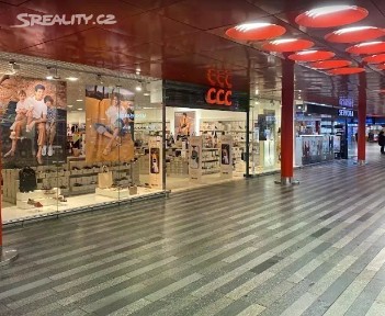 Pronájem obchodního prostoru 380 m² Wilsonova, Praha - Vinohrady