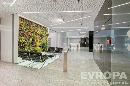 Pronájem kanceláře 733 m²