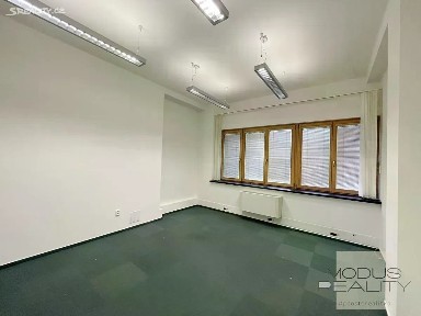 Pronájem kanceláře 21 m² U Rajské zahrady, Praha - Žižkov