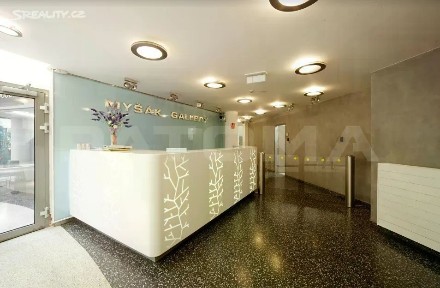 Pronájem kanceláře 166 m² Vodičkova, Praha - Nové Město