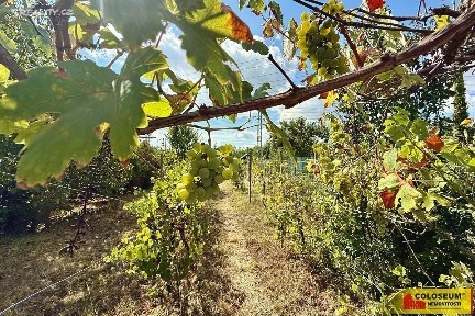 Prodej chaty 30 m², pozemek 445 m² Suchohrdly