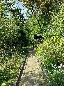 Prodej chaty 49 m², pozemek 707 m² Brno - Žabovřesky