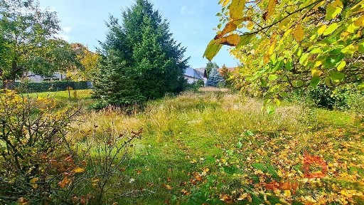 Prodej rodinného domu 135 m², pozemek 2336 m² Střítež - Bor