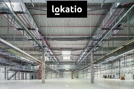 Pronájem skladového prostoru 2878 m²
