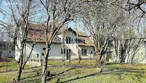 Prodej rodinného domu 200 m², pozemek 3700 m² Kujavy