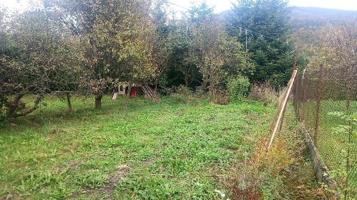 Pražmo, Frýdek-Místek