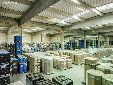 Pronájem skladového prostoru 1679 m²