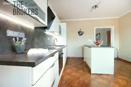 Prodej rodinného domu 172 m², pozemek 678 m² Všetatská, Praha - Miškovice